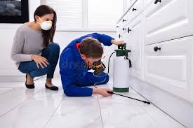 Best Bed Bug Extermination  in Westwood Lakes, FL